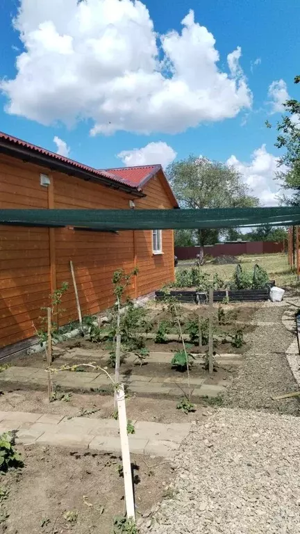 Дом в Ростовская область, Родионово-Несветайский район, Кутейниковское ... - Фото 1