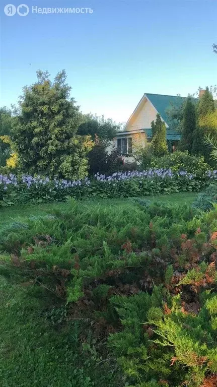 Дом в Великолукский район, Пореченская волость, деревня Белокозово, ... - Фото 1