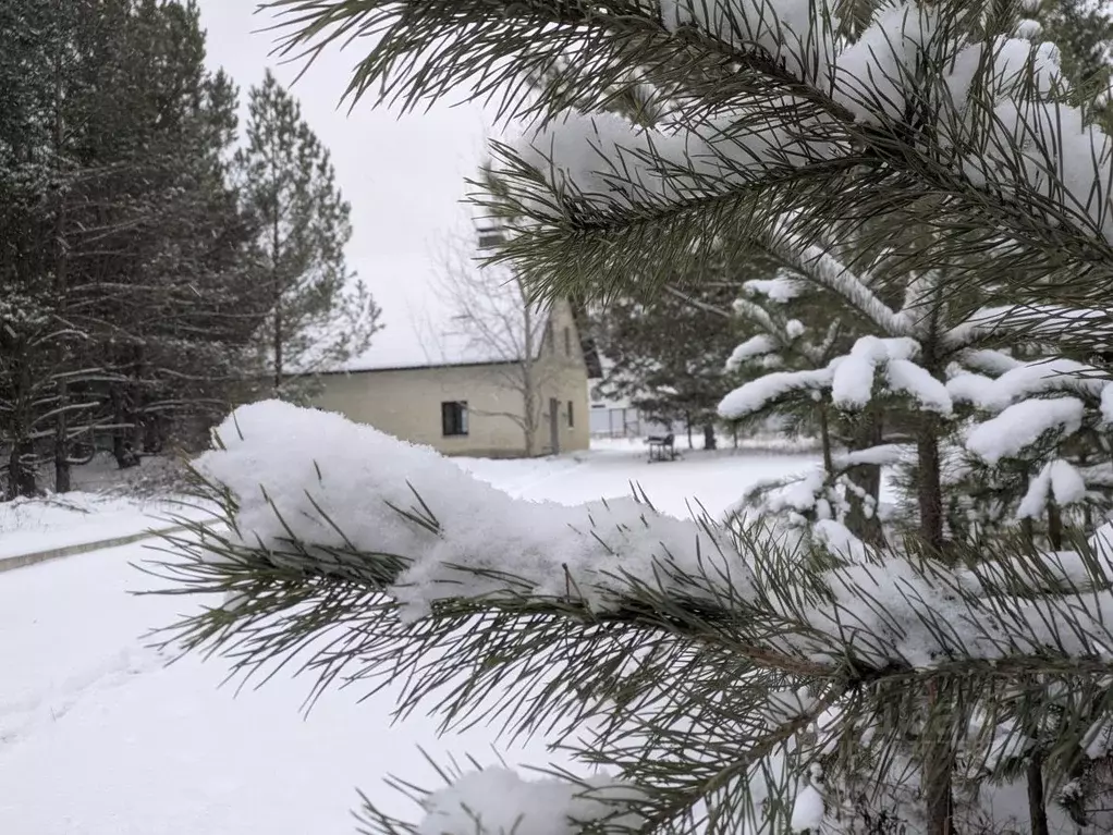 Коттедж в Самарская область, Красноярский район, с. Старая Бинарадка ... - Фото 2