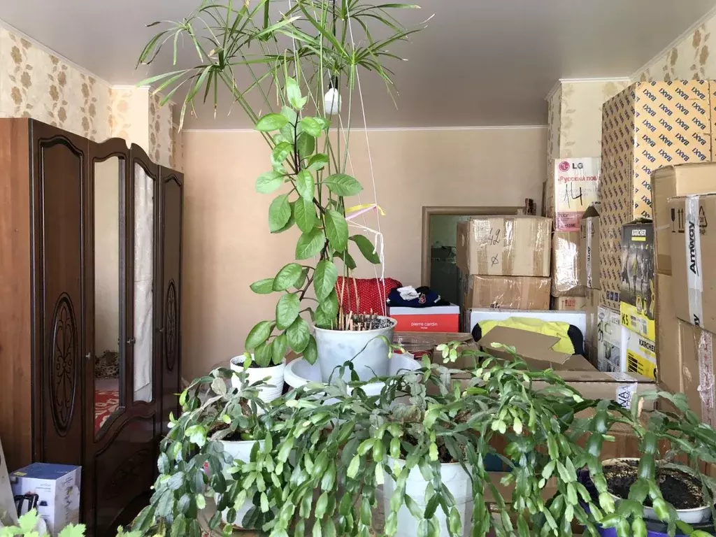 1-к кв. Краснодарский край, Геленджик Степная ул., 18 (44.3 м) - Фото 2