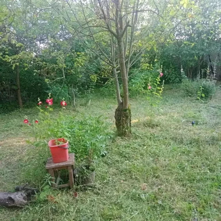 Участок в Татарстан, Казань Садовод № 11 СНТ, 292 (5.93 сот.) - Фото 2