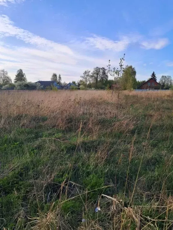 Участок в Московская область, Орехово-Зуевский городской округ, д. ... - Фото 1