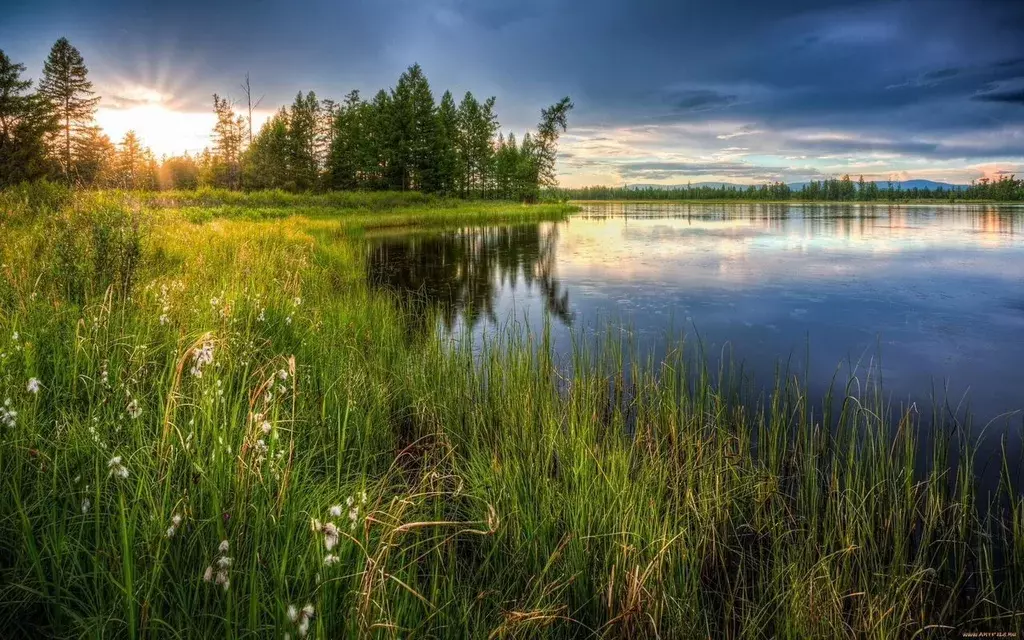 Участок в Ленинградская область, Лодейнопольское городское поселение, ... - Фото 1