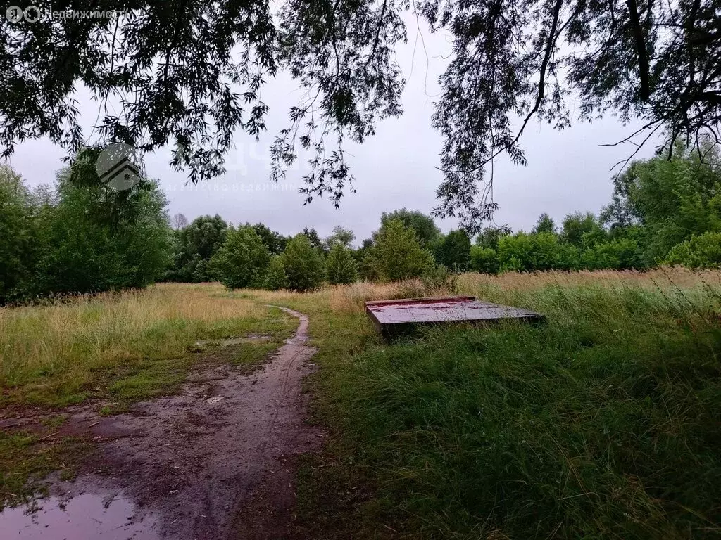 Участок в Шумерля, улица Герцена, 45 (12 м) - Фото 2