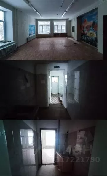 Помещение свободного назначения в Свердловская область, Кировград ул. ... - Фото 0