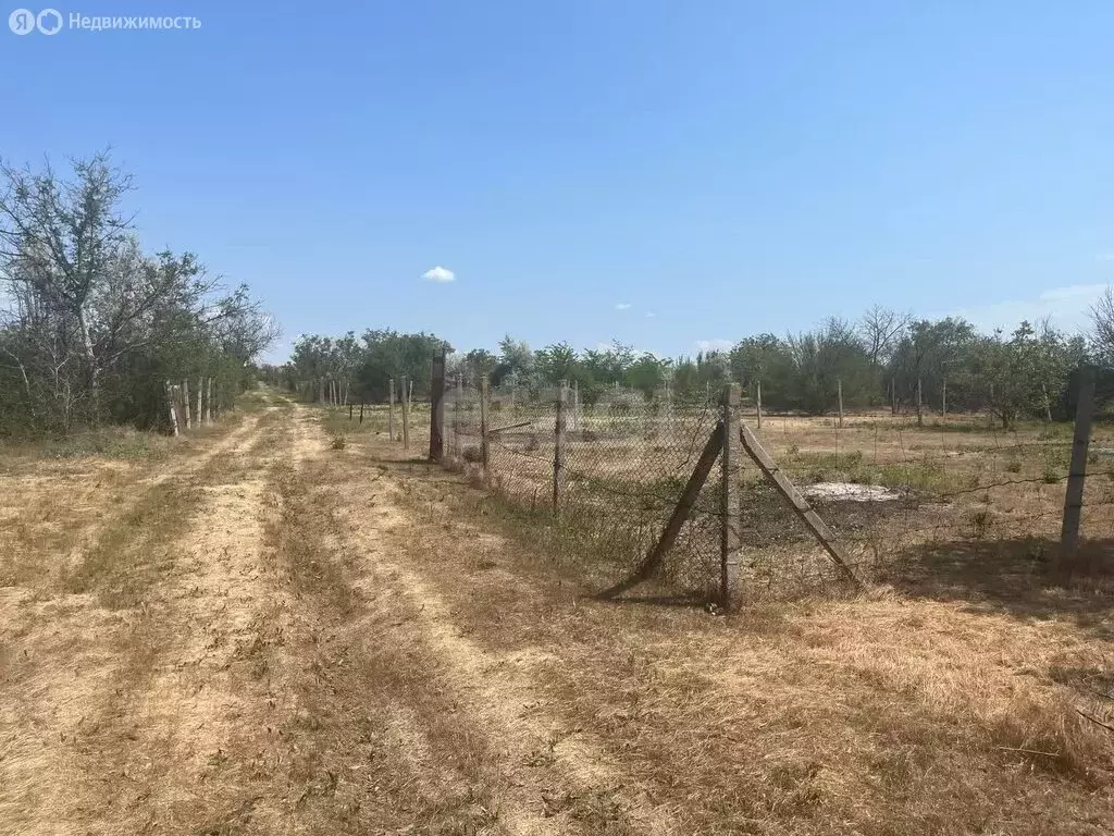 Участок в Сакский район, Митяевское сельское поселение, СНТ Химик-3 ... - Фото 0