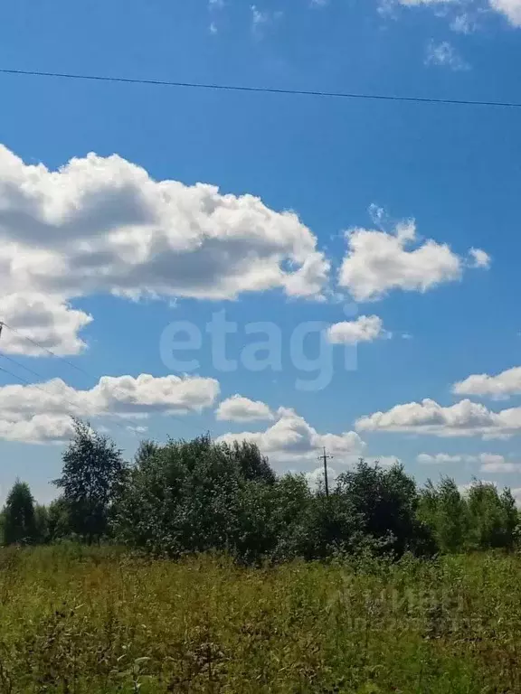 Участок в Калужская область, Дзержинский муниципальный округ, Рудня ... - Фото 1