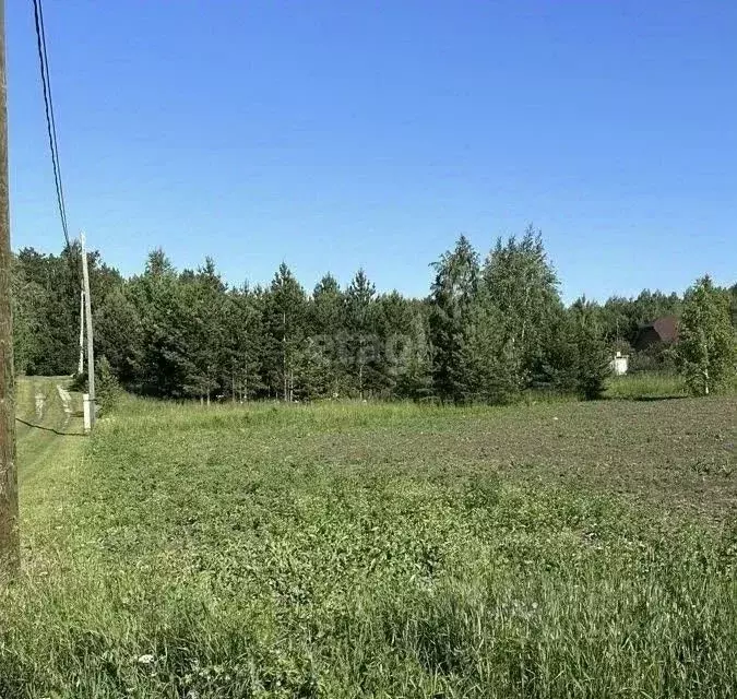 Участок в Красноярский край, Емельяновский муниципальный округ, Ясная ... - Фото 1