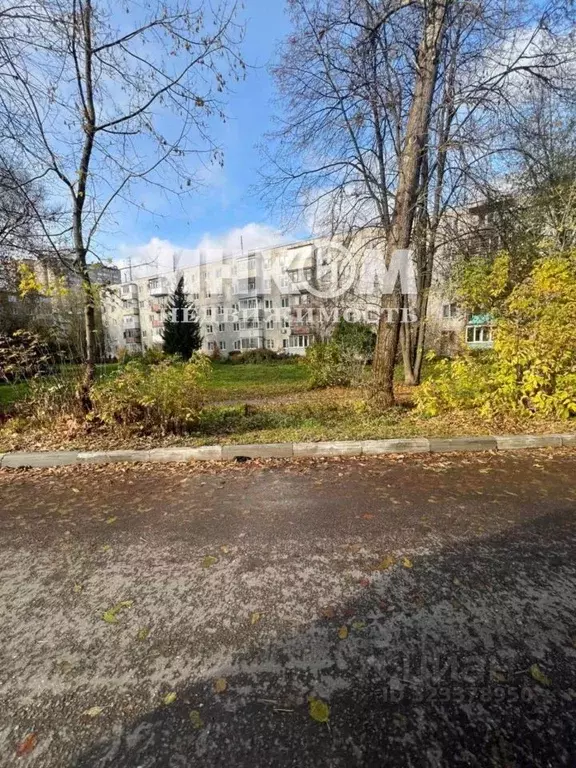 2-к кв. Московская область, Ногинск Богородский городской округ, ... - Фото 2