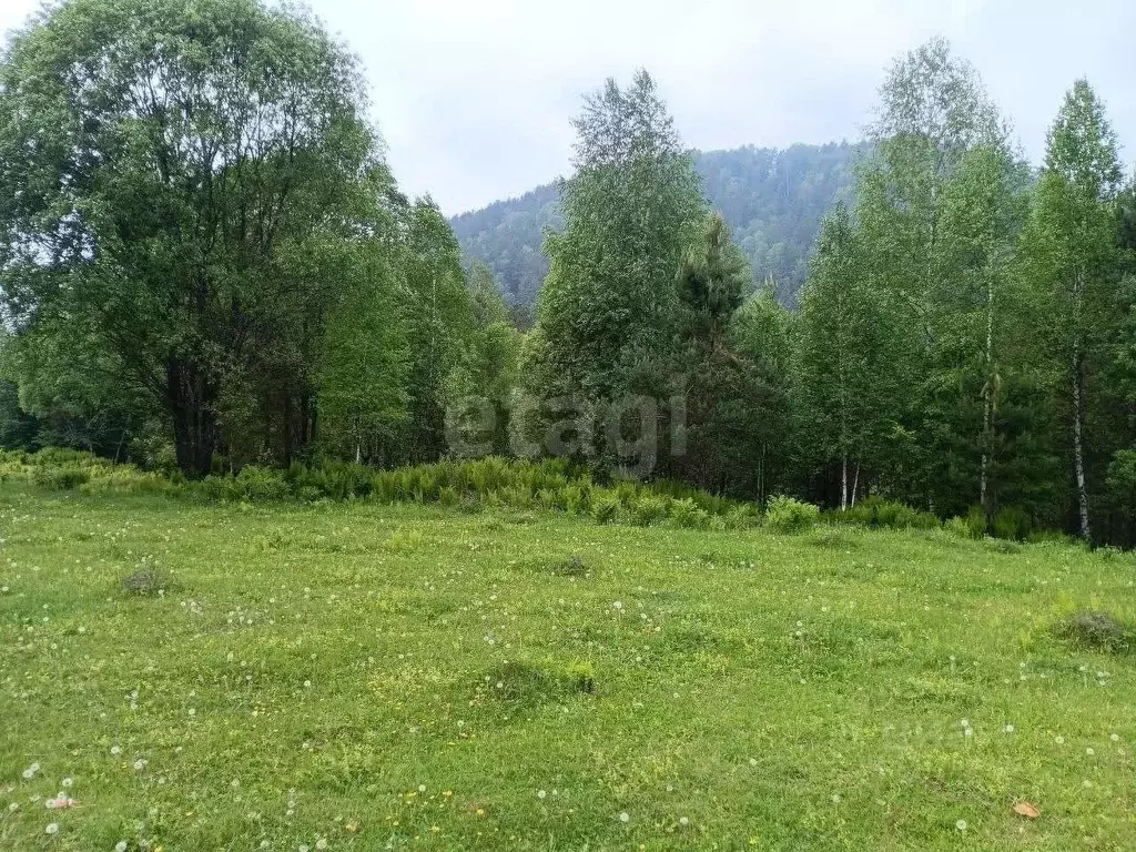 Участок в Алтай, Турочакский район, с. Старый Кебезень Совхозная ул. ... - Фото 1
