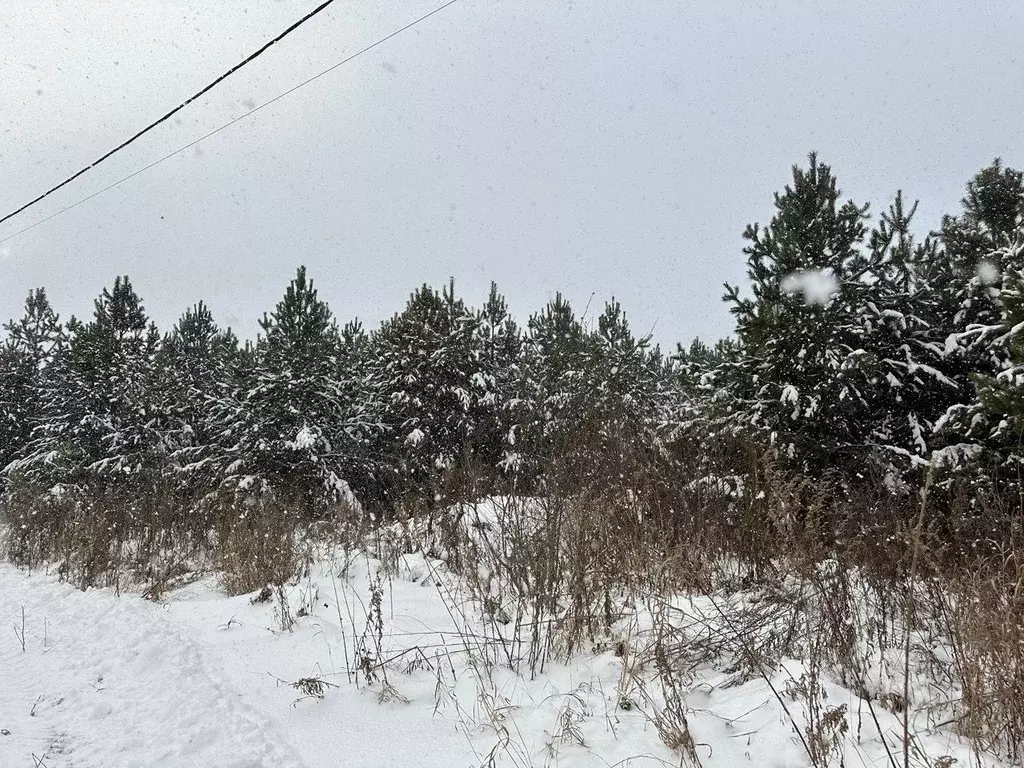 Участок в Свердловская область, Полевской муниципальный округ, с. ... - Фото 1