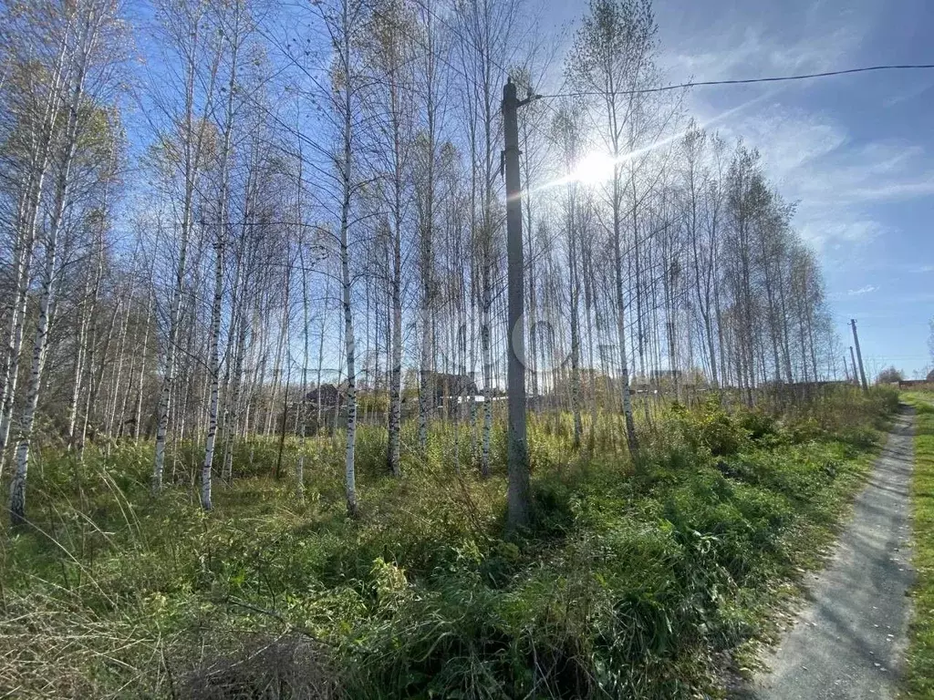 Участок в Новосибирская область, Новосибирский район, Раздольненский ... - Фото 2