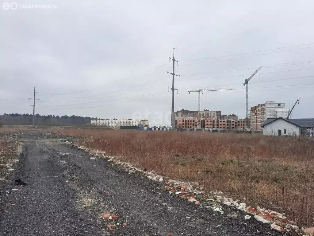 Участок в Зеленоградск, посёлок Вишнёвое (8 м) - Фото 1