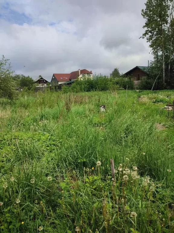 Участок в Псковская область, Псков Светлая ул., 36 (9.0 сот.) - Фото 1