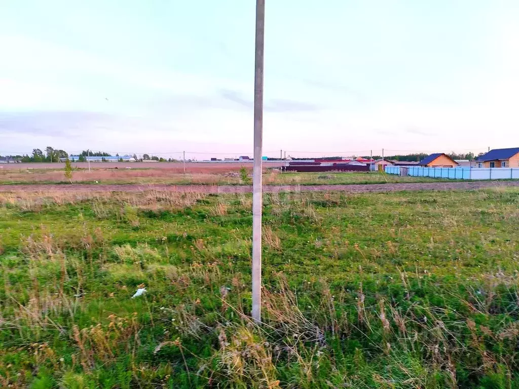 Участок в Тюменская область, Тюменский район, с. Борки ул. ... - Фото 1