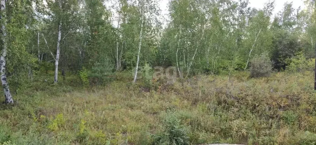 Участок в Саха (Якутия), Якутск Марха мкр, Солнечная ул. (17.0 сот.) - Фото 0