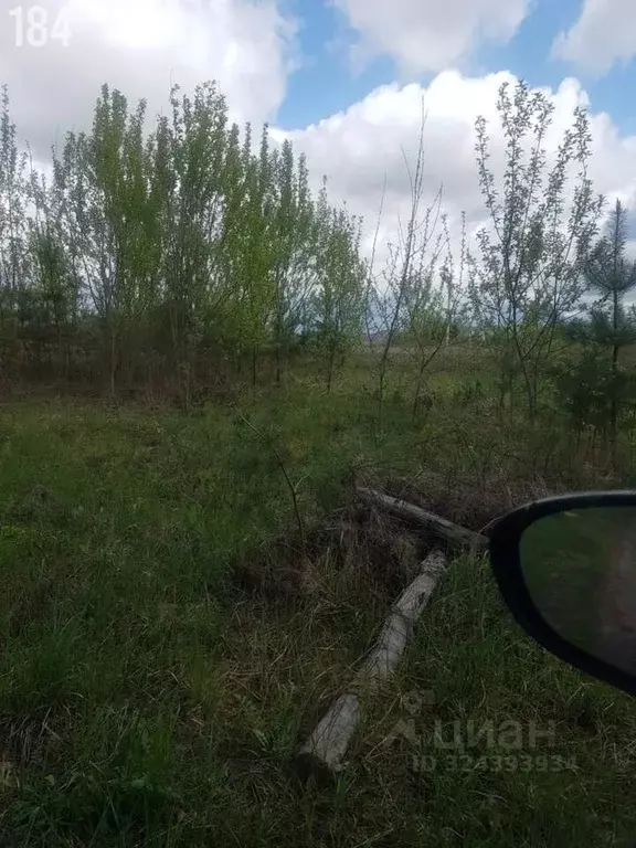 Дом в Орловская область, Залегощенский район, Золотаревское с/пос, д. ... - Фото 2