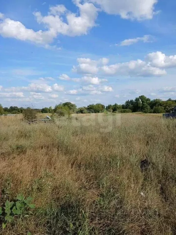 Участок в Курская область, Курский район, Моковский сельсовет, д. ... - Фото 2