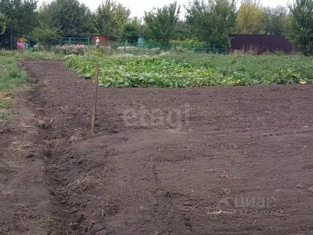Участок в Курская область, Курск Цветово СТ, 4 (10.0 сот.) - Фото 1