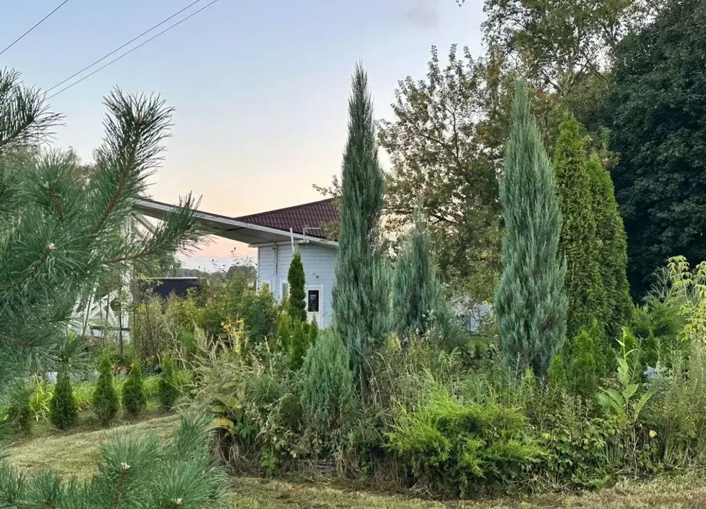 Участок в Московская область, Кашира  (8.0 сот.) - Фото 0