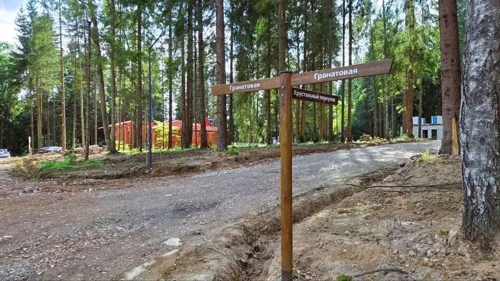 Участок в Московская область, Звенигород Одинцовский городской округ,  ... - Фото 2