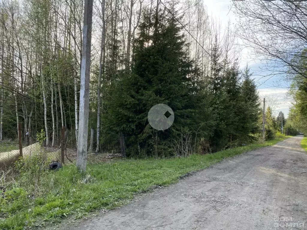Участок в Ленинградская область, Всеволожский район, Агалатовское ... - Фото 0