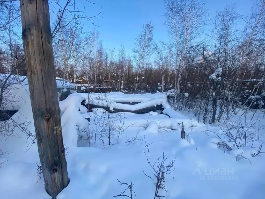 Участок в Саха (Якутия), Якутск городской округ, с. Маган  (6.0 сот.) - Фото 1