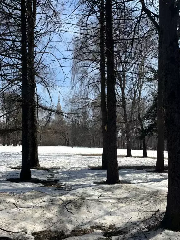 1-к кв. Москва ул. Дружбы, 2/19 (43.0 м) - Фото 1