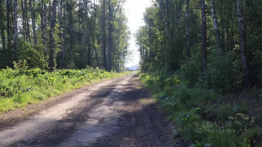 Участок в Московская область, Домодедово городской округ, д. Минаево, ... - Фото 1