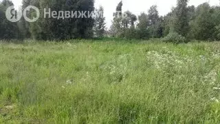 Участок в Ярославский муниципальный округ, деревня Ярцево (13 м) - Фото 1