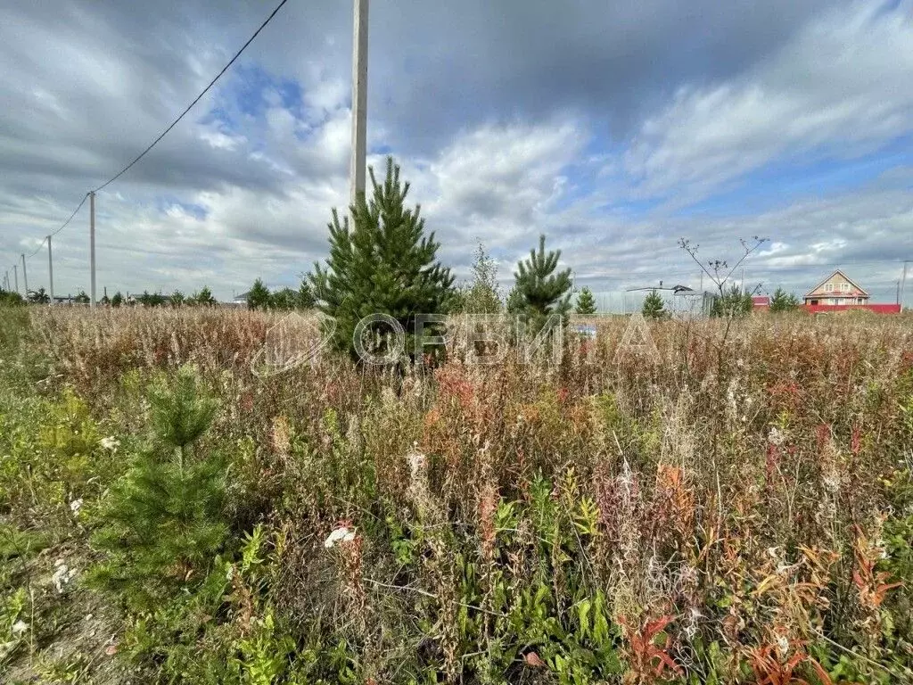 Участок в Тюменская область, Тюменский муниципальный округ, д. Елань, ... - Фото 2