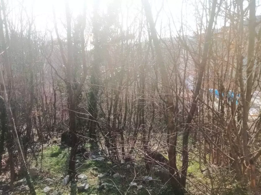 Участок в Крым, Ялта городской округ, Голубой Залив пгт  (4.4 сот.) - Фото 0