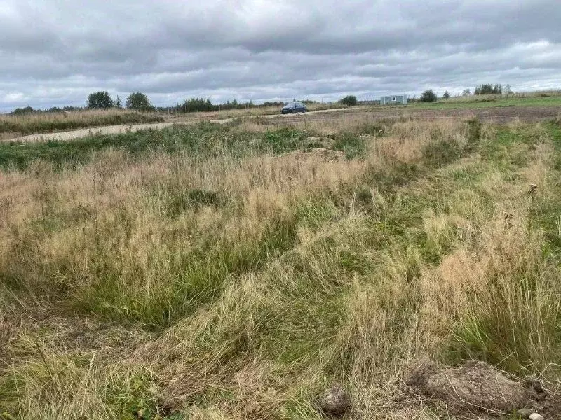 Участок в Ленинградская область, Ломоносовский район, Лопухинское ... - Фото 1
