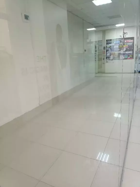 Торговая площадь в Самарская область, Самара Московское ш., 43 (42 м) - Фото 2