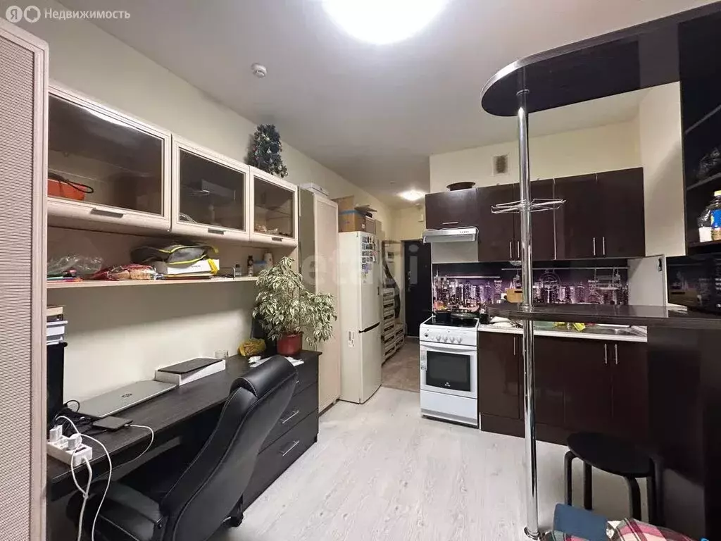 Квартира-студия: деревня Анкудиновка, Русская улица, 4 (18.7 м) - Фото 1