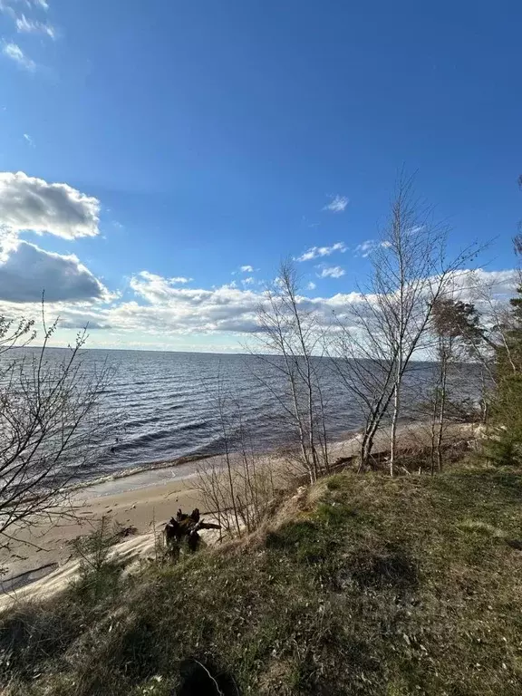 Участок в Нижегородская область, Сокольский городской округ, д. ... - Фото 1