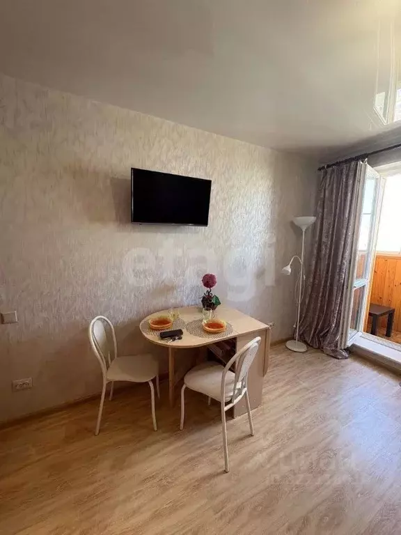 Студия Новосибирская область, Новосибирск ул. Виктора Уса, 13 (19.1 м) - Фото 2