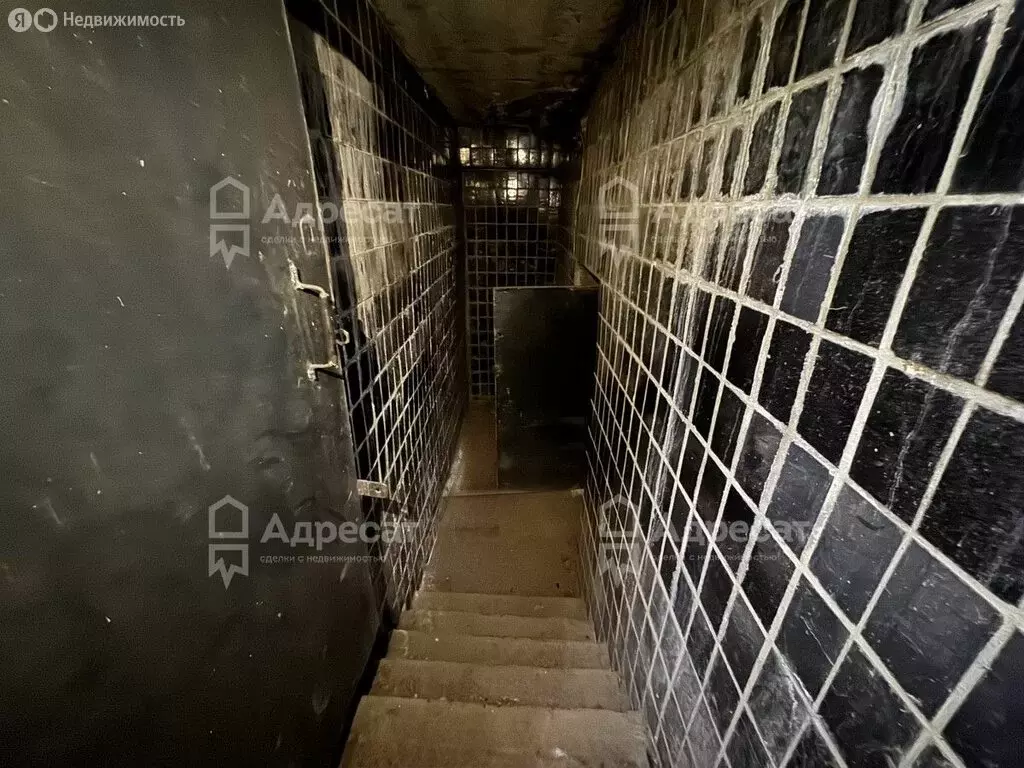 Помещение свободного назначения (218.1 м) - Фото 1