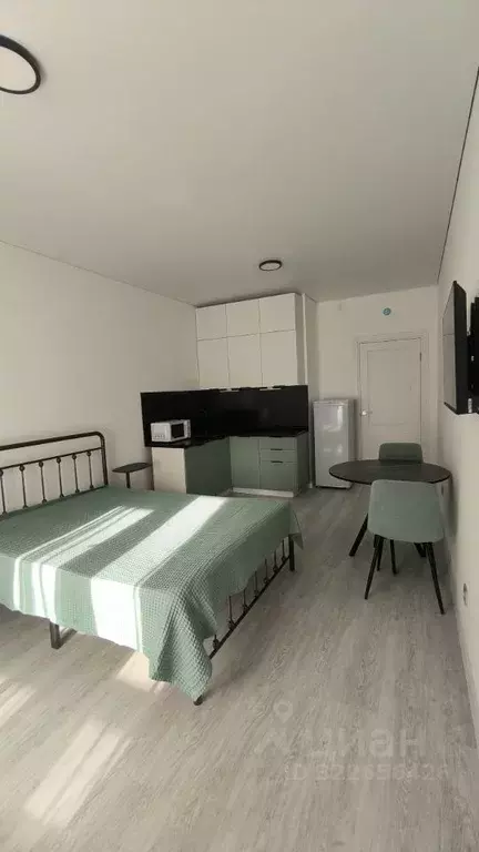 Студия Санкт-Петербург Дальневосточный просп., 23 (23.7 м) - Фото 2