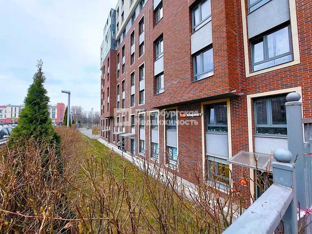 Помещение свободного назначения в Санкт-Петербург Петергофское ш., ... - Фото 1