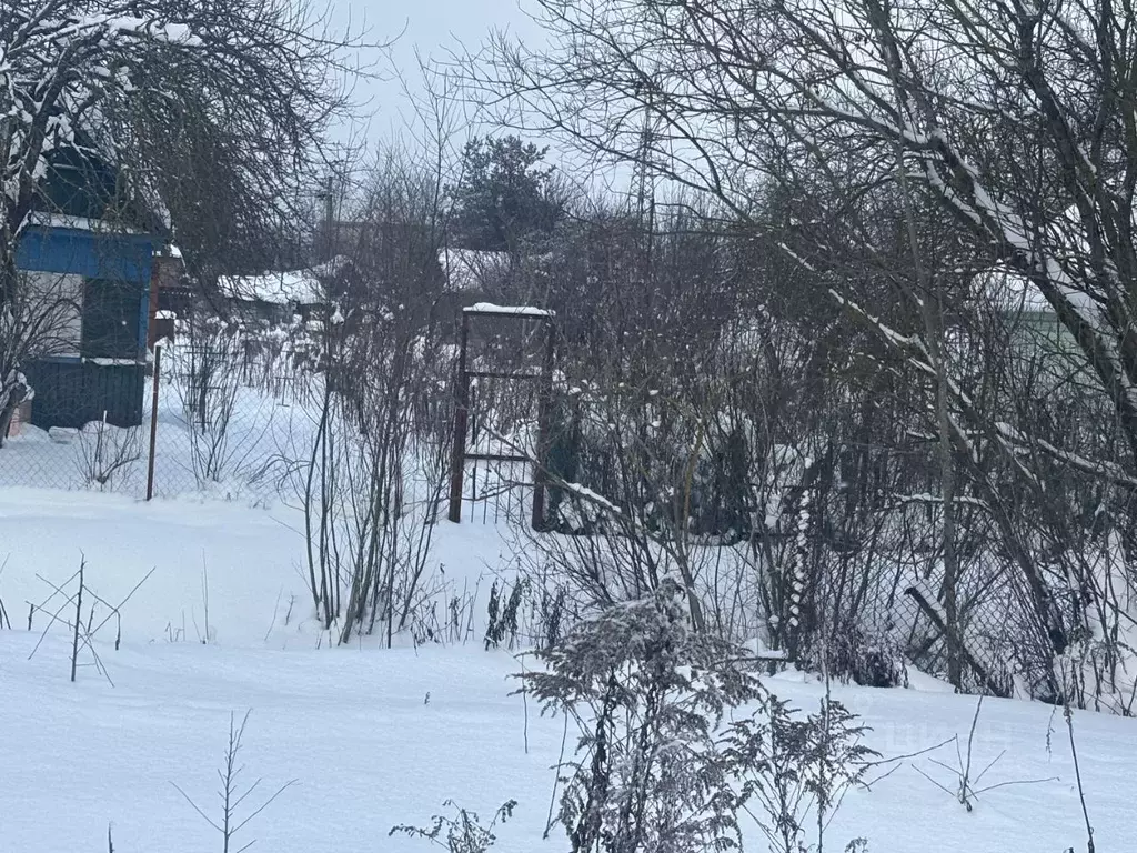 Участок в Ленинградская область, Гатчина Солнечный Луч СНТ,  (7.0 ... - Фото 1