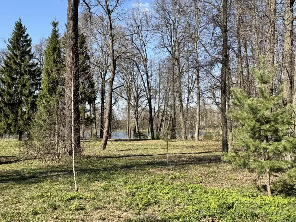 Участок в Московская область, Мытищи городской округ, д. Аксаково ул. ... - Фото 2