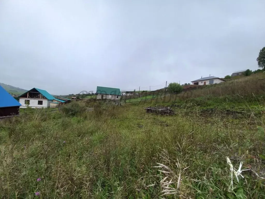 Участок в Алтай, Майминский район, пос. Алферово ул. Выходцева, 43 ... - Фото 1