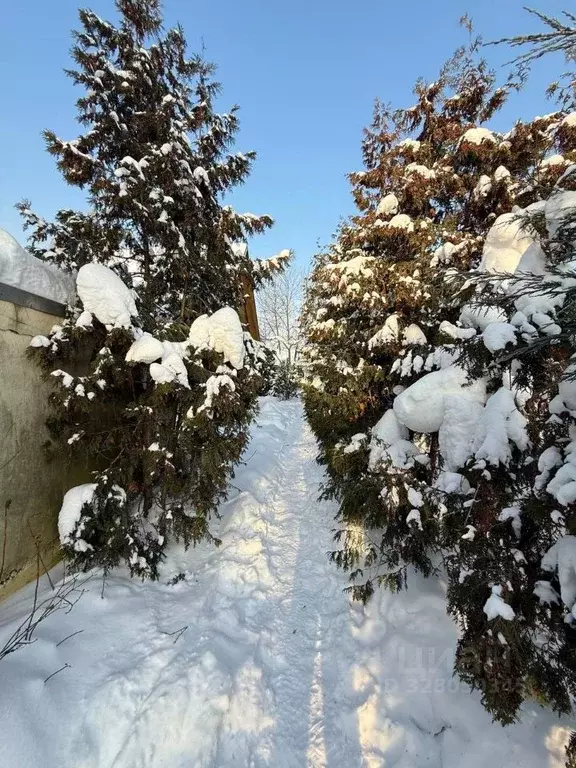 Дом в Московская область, Одинцовский городской округ, д. Мамоново ... - Фото 1