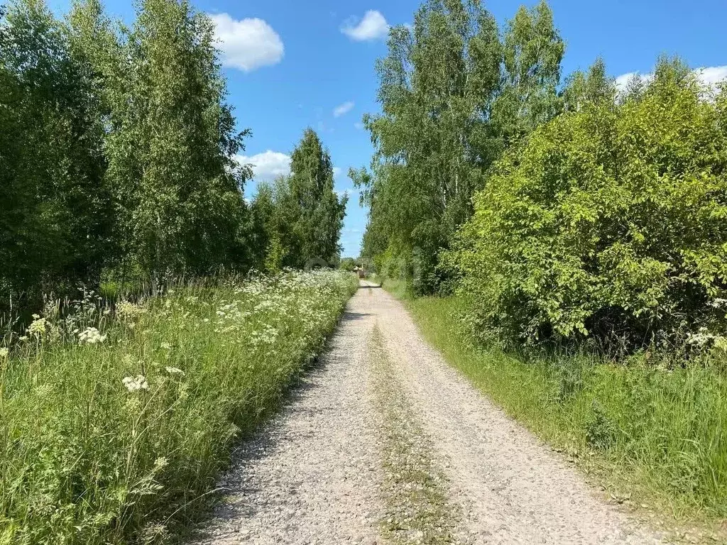 Участок в Ярославская область, Ярославский район, Заволжское с/пос, д. ... - Фото 1