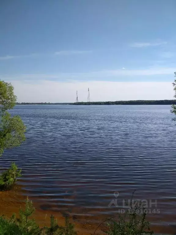 3-к кв. Тверская область, Конаково ул. Революции, 2 (60.0 м) - Фото 0