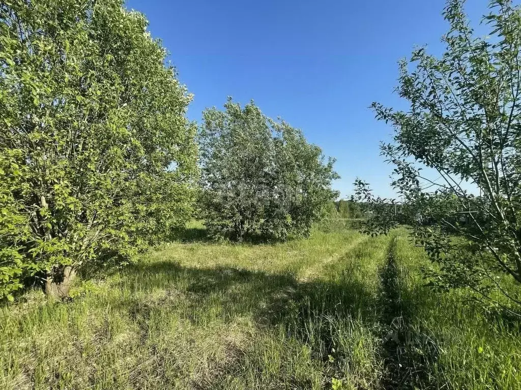 Участок в Нижегородская область, Кстовский муниципальный округ  (18.9 ... - Фото 0