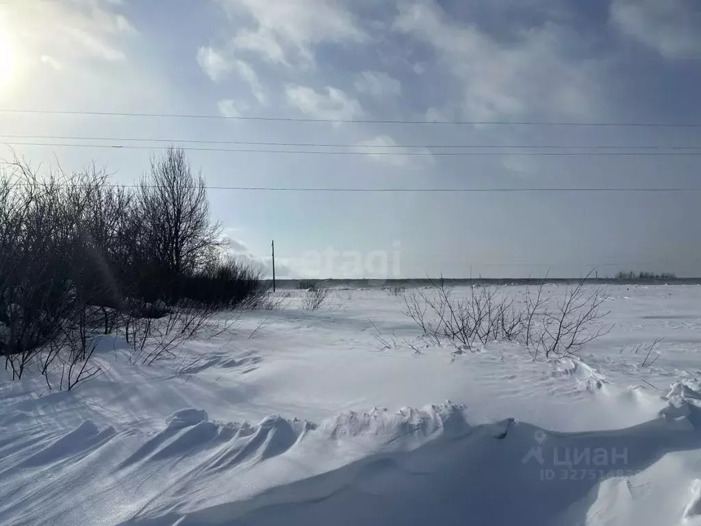 Участок в Мордовия, с. Лямбирь  (15.0 сот.) - Фото 1
