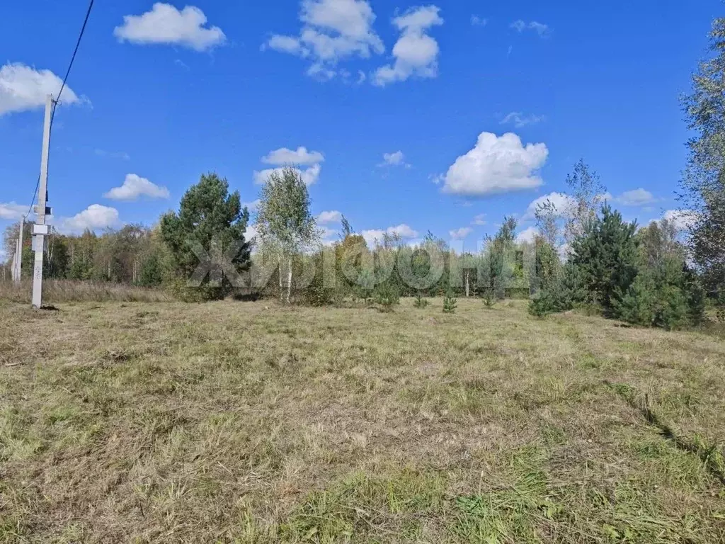 Участок в Новосибирская область, Новосибирский район, Кудряшовский ... - Фото 1