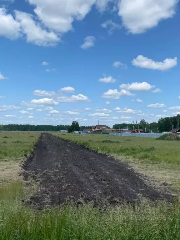 Участок в Омская область, Омское с/пос, д. Зеленовка, Зеленый Край мкр ... - Фото 1